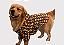 Blusão Soft com Capuz para Cães Colors Gaby Moda Pet - Imagem 1