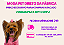 Vestido Pet Tweed Gaby Moda Pet - Imagem 5