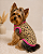 T SHIRT PET REGATINHA OUTONO ANIMAL PRINT - Imagem 1