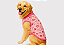 T SHIRT PET REGATINHA VERÃO  URSINHA GABY MODA PET GOLDEN RETRIVIER - Imagem 1