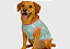 T SHIRT PET REGATINHA VERÃO NUVEM GABY MODA PET - Imagem 1