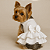 Vestido Pet Personalizada Daminha  Gaby Moda Pet - Imagem 2