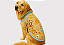 T SHIRT PET REGATINHA VERÃO FLORESTA GABY MODA PET GOLDEN RETRIVIER - Imagem 1