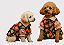 Camisa Pet Alfaiataria Floral Premium Gaby Moda Pet - Imagem 2