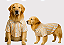 Camisa Pet Alfaiataria Listras Colorida Premium Gaby Moda Pet Golden Retrivier - Imagem 1