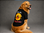 CAMISETA PET VERÃO SOU DA MAMÃE PRETA GOLDEN RETRIVIER - Imagem 1