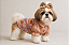 Camisa Pet Alfaiataria Estampa Floral Premium Gaby Moda Pet - Imagem 1