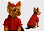 Camisa Roupa Pet para Cachorro Natal Vermelha Gaby Moda Pet - Imagem 1