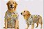 Camisa Pet Alfaiataria Floresta Bege Premium Gaby Moda Pet Golden Retrivier - Imagem 1