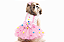 Fantasia Vestido para Cachorro Palhacinha Rosa Gaby Moda Pet - Imagem 1
