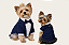 ROUPA TERNO PET PERSONALIZADA FESTA CASAMENTO AZUL MARINHO MACHO - Imagem 1