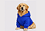 MOLETOM PET AZUL GOLDEN RETRIVIER GABY MODA PET - Imagem 1