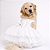 Vestido Pet Personalizada Daminha Noiva Boutique Gaby Moda Pet - Golden Retrivier - Imagem 1