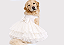 Vestido Pet Personalizada Daminha Noiva Off White Boutique Gaby Moda Pet - Golden Retrivier - Imagem 1