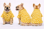 Camisa para Cachorro Bulldogue Floral Amarelo 100% Algodão com Botão de Pressão Gaby Moda Pet - Imagem 2