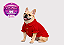 Camisa para Cachorro Pet Alfaiataria Bulldogue Vermelha com Botão de Pressão Gaby Moda Pet - Imagem 3