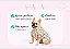 Camisa para Cachorro Bulldogue Floral Alfaiataria com Botões Roupa Pet Elegante Gaby Moda Pet - Imagem 3