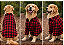 Camisa Pet Xadrez Vermelho Manga Longa Gaby Moda Pet Golden Retrivier - Imagem 2