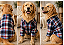 Camisa Pet Xadrez Manga Longa Gaby Moda Pet Golden Retrivier - Imagem 2