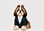 TERNO PET BOUTIQUE VERDE PETROLEO - Imagem 1