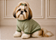 Roupa de Inverno para Cachorro Tricõ | Casaco Pet | Luxo Verde Portes Pequenos - Imagem 2