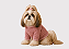 Roupa de Inverno para Cachorro Tricõ | Casaco Pet | Luxo Rose Portes Pequenos - Imagem 1