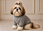 Roupa de Inverno para Cachorro Tricõ | Casaco Pet | Luxo Cinza Portes Pequenos - Imagem 2