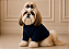 Roupa de Inverno para Cachorro Tricõ | Casaco Pet | Luxo Azul Marinho Portes Pequenos - Imagem 1