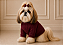 Roupa de Inverno para Cachorro Tricõ | Casaco Pet | Luxo Bordô Marinho Portes Pequenos - Imagem 1