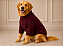 Roupa Suéter Tricô Premium Bordô para Cães de Grande Porte Golden Retrivier - Imagem 1