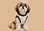 Roupa para Cachorro em Fleece Macho – Linha Básica Gaby Feulo - Imagem 2