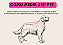 Roupa para Cachorro em Fleece Femea – Linha Básica Gaby Feulo - Imagem 4
