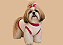 Roupa para Cachorro em Fleece Femea – Linha Básica Gaby Feulo - Imagem 2