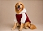 Moletom Vermelho com Fleece para Cachorro Grande Golden Retriever e Labrador com Fleece – Quente e Confortável - Imagem 2