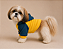 Blusa de Frio para Cachorro Pequeno com Capuz Moletom Colorido Amarelo Pet com Capuz em Moletom| Conforto para Cães - Imagem 2