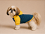 Blusa de Frio para Cachorro Pequeno com Capuz Moletom Colorido Azul Pet com Capuz em Moletom| Conforto para Cães - Imagem 2