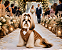 Terno para Cachorro Marrom em Tecido Prada – Roupa Pet para Casamento - Imagem 2