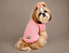 Roupa para Cachorro Shih Tzu Feminina Rosa – Blusa 100% Algodão Canelada com Babado - Imagem 1