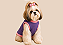 Roupa para cachorro Roxa – Moletom para Cachorro Porte Pequeno - Imagem 2