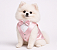 ROUPA TERNO SOCIAL PET PERSONALIZADA FESTA CASAMENTO ROSA - Imagem 1