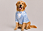 Roupa para Golden Retriever em Terno Azul Claro Acetinado – Terno Pet Social com Gravata Borboleta - Imagem 1
