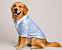 Roupa para Golden Retriever em Terno Azul Claro Acetinado – Terno Pet Social com Gravata Borboleta - Imagem 2
