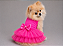 Vestido de Festa para Cachorro Rosa Pink com Saia de Tule – Vestido Pet para Raças Pequenas e Grandes + Guia e Laço Penteado - Imagem 1