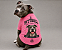 Camiseta Rosa Pitbull Quem Conhece Ama 100% Algodão Premium +Brinde Ecobag - Imagem 1