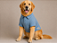 Camiseta Polo Pet Algodão Azul Premium Gaby Moda Pet Golden Retrivier - Imagem 1