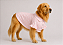 Camisa de Alfaiataria Pet Poa Rosa Premium em Ticoline 100% Algodão para Cães de Porte Grande e Gigante Golden Retrivier - Imagem 1