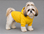 Blusa de Frio para Cachorro Pequeno com Capuz Moletom Amarelo Pet com Capuz em Moletom| Conforto para Cães - Imagem 1