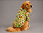 Camisa de Alfaiataria Pet Floresta Premium em Ticoline para Cães de Porte Grande e Gigante Golden Retrivier - Imagem 2