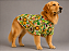 Camisa de Alfaiataria Pet Floresta Premium em Ticoline para Cães de Porte Grande e Gigante Golden Retrivier - Imagem 1
