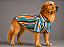 Camisa de Alfaiataria Pet Listras Azul Militar Premium em Tricoline para Cães de Porte Grande e Gigante Golden Retrivier - Imagem 1